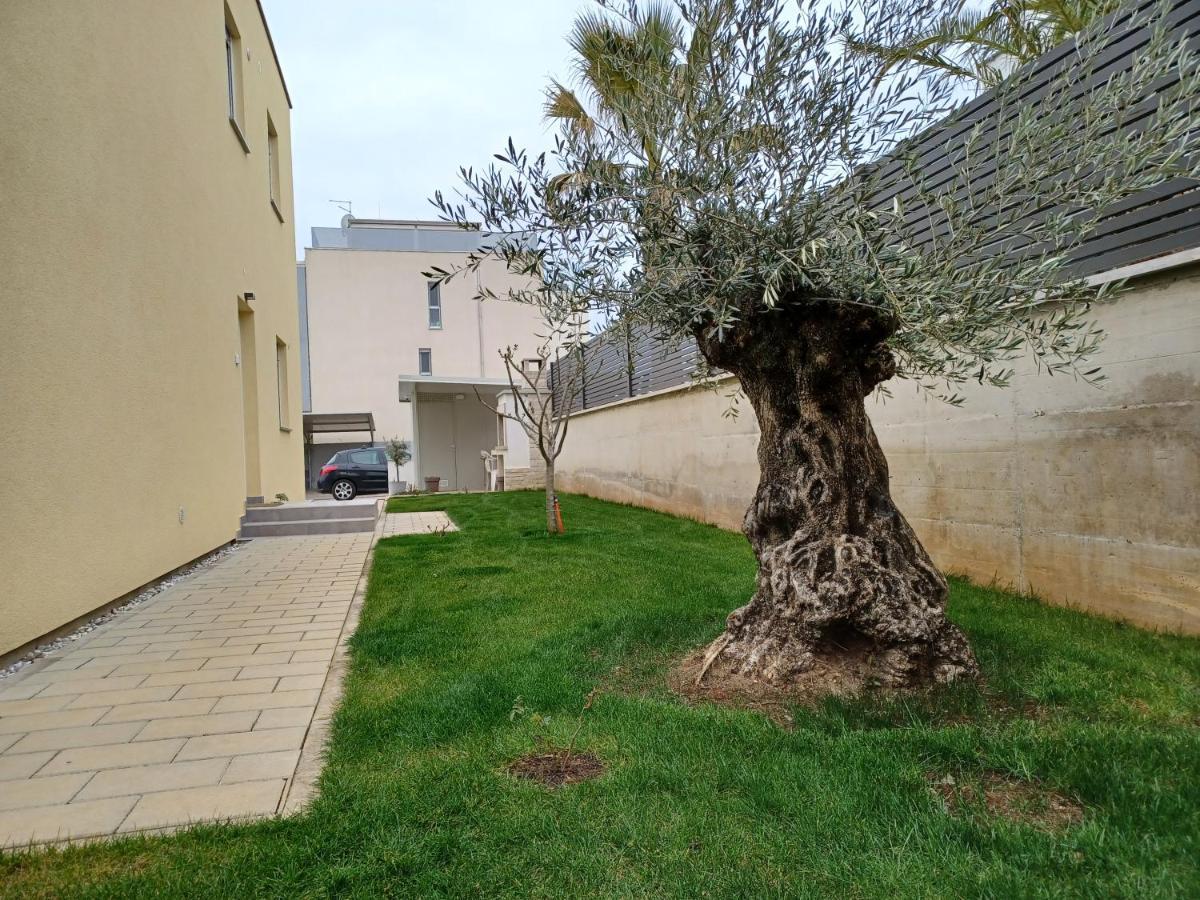 Apartments Leon 2 Novigrad  Zewnętrze zdjęcie